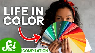 How Language Changes How We See Color  Compilation [upl. by Oibirot433]