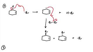 Allylic Bromination and Anti Markovnikov Bromination [upl. by Aydidey]