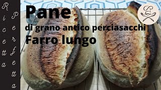 Pane di grano antico siciliano Perciasacchi [upl. by Laen650]