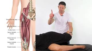 Iliotibial Band  Treatment  Assessment  Soft Tissue Therapy [upl. by Nart]