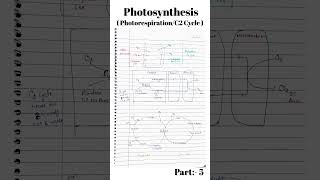 photorespiration  c2 cycle  c2 cycle in photosynthesis Part5 csirnet photosynthesis shorts [upl. by Einaffets228]