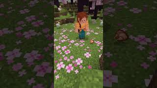 Angu vanadium song minecraft [upl. by Lleda]