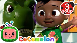 Take Care Of Your Pets  CoComelon  Codys Playtime  Songs for Kids amp Nursery Rhymes [upl. by Otiragram]