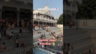 🙏Sarovar sewa in Amritsar gurudwara🙏shorts waheguruguru ytshort [upl. by Etteniotnna624]