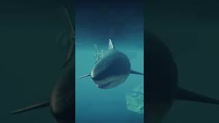 🦈MEGALODON🦈  Jurassic World Evolution 2 [upl. by Chun]