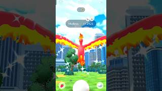 1st raid🍀 amp✨ Shiny Moltres ✨ trainer99 pokemongo shinymoltres raid [upl. by Oenire582]