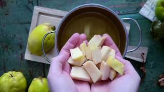 Quitten einkochen einfache Marmelade mit Quitten [upl. by Annaed692]