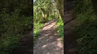 Walking trails  tofino beach shorts [upl. by Atinid707]