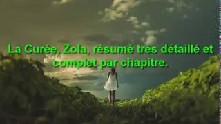 La Curée Émile Zola résumé très détaillé et complet par chapitre [upl. by Airotahs]