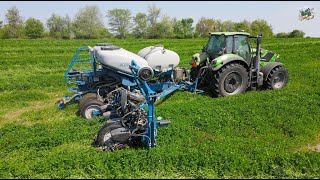 Planting Corn into a Cover Crop of Clover in Wisconsin [upl. by Gerbold]