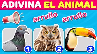 ¡Sonidos Misteriosos ¿Puedes Adivinar El Animal 🕊️🔊 [upl. by Plank716]