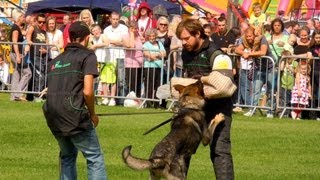 Schutzhund in Action Working Dog Show [upl. by Ninahs73]