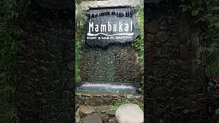 shorts mambukalresort [upl. by Pack]