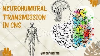 Neurohumoral transmission in the CNS  special emphasis on importance of various neurotransmitters [upl. by Nay]