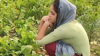 आज खेतों में आ गए पालक और सरसो का साग लेने desivlog suhanarecordofficial [upl. by Margaret474]