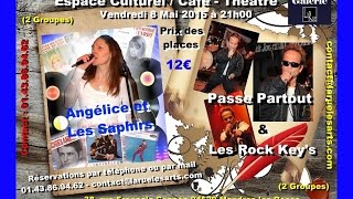 CONCERTS DIVERS Musique Passe Partout [upl. by Vitalis83]