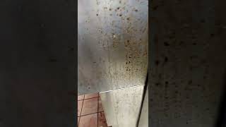 stainless steel rust removal [upl. by Nancee]