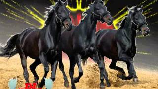 CORRIDOS DE CABALLOS GRUPO LABERINTO MIX BY DJ MEJIA [upl. by Terrye318]