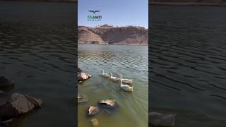 Wadi Namar Waterfall  Riyadh Saudi Arabia  Suhaib Alam  Riyadh vlog travel [upl. by Tallulah211]