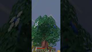 Bora fazer a colheita dos BLUE apricorns shorts minecraft pixelmon apricorn apricots farming [upl. by Aielam]