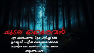 ഒരു ഭയാനക കഥ  Malayalam horror story  horror audio book  bedtime story  mallu nightmare [upl. by Ackerley9]