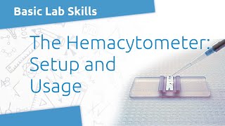 Lab Skills Hemacytometer Setup [upl. by Riannon]