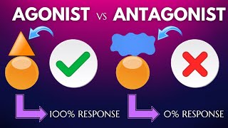 AGONIST amp ANTAGONIST IN TAMIL [upl. by Queston]