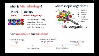 SIR1001 Fundamental Microbiology lecture one [upl. by Lewison]