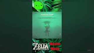 Zelda BOTW  Champions Ballad Windblight Ganon pt 5 shortsfeed zelda [upl. by Nirihs]