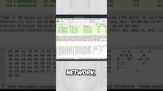 What is Wireshark  Stealth Security [upl. by Lopez]