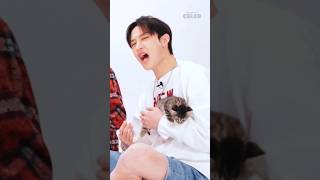 The way cats keep escaping from Chan😂 skz straykids bangchan youmakestraykidsstay [upl. by Atikcir91]