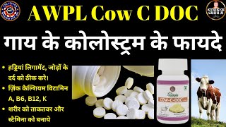 Benefits of Colostrum  Colostrum Ke Fayade  Cow C Doc Awpl  Striker Guru Ji [upl. by Anelac891]