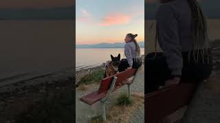 Trip to the beach in Comox BC [upl. by Nepets296]