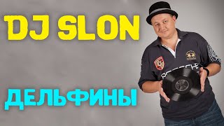 Dj Slon  Дельфины все дельфины в ураган  Аудио [upl. by Jadd]