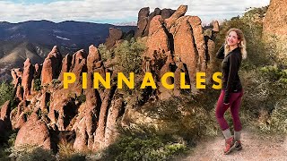 Pinnacles National Park in One Day hiking caves condors  more [upl. by Elyrpa]