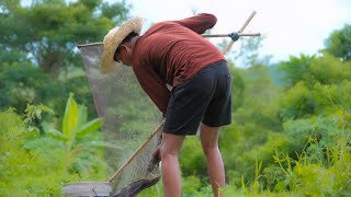 Let’s go fishing Catching catfishhito in the pond for food  Gayyem Ben [upl. by Enneirb254]