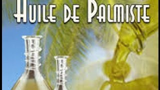 Huile de palmiste  vidéo 2 [upl. by Thgirw]