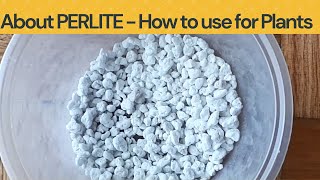 Perlite for Plants  All about Perlite and how to use in gardening [upl. by Llenahs]