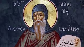 ST MAXIMUS  QUESTIONS AND DOUBTS [upl. by Gerius461]