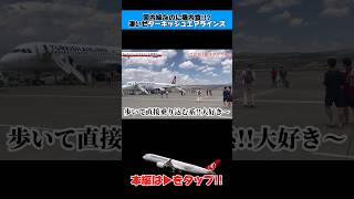 【機内食】ターキッシュエアラインズは国内線もすごいよ shorts ターキッシュエアラインズ トルコ 飛行機 [upl. by Atteloc]