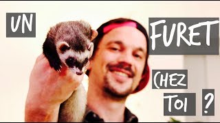 UN FURET CHEZ TOI   TUTO TOOPET [upl. by Hooker]