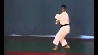 Luca Valdesi Heian Shodan [upl. by Zeitler372]