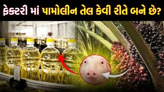 પામોલીન તેલ કેવી રીતે ત્યાર થાઈ છે  How Palm Oil Is Made In Factory  Palm Oil Manufacturing [upl. by Nailij]