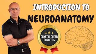 Intro to Neuroanatomy  Neurophysiology  Neuroscience  Central Nervous System [upl. by Anaiviv]