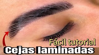 Cejas Laminadas El secreto para unas cejas perfectas [upl. by Libove]