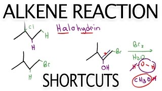 Alkene Reaction Shortcuts and Products Overview by Leah Fisch [upl. by Ssej]