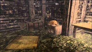 Skyrim The Pursuit Where to Find Mercers PlansEvidence [upl. by Anon221]