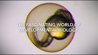 BSDB  The Fascinating World of Developmental Biology full length [upl. by Alaet789]