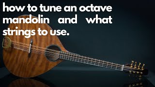 How to tune an octave mandolin and what strings to use [upl. by Shannan]