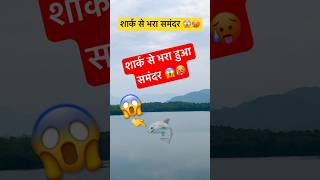 शार्क से भरा समंदर 😱🥵  Shark  Shark Tank  Shark Sea  Shark Attack shorts ytshorts trending [upl. by Nahtal]